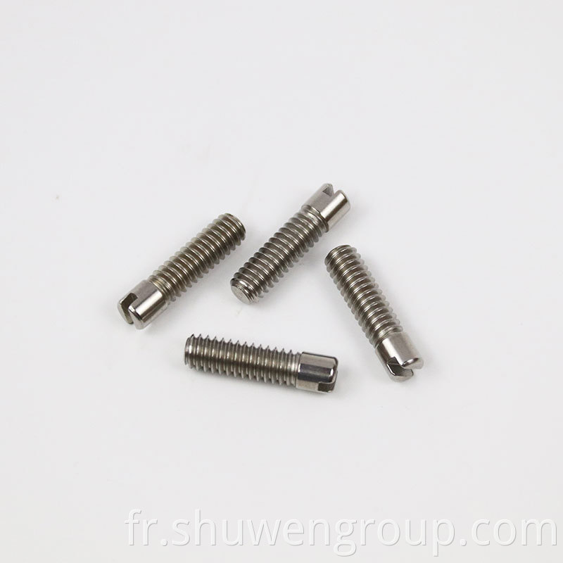 Stainless Steel Knurled Screws